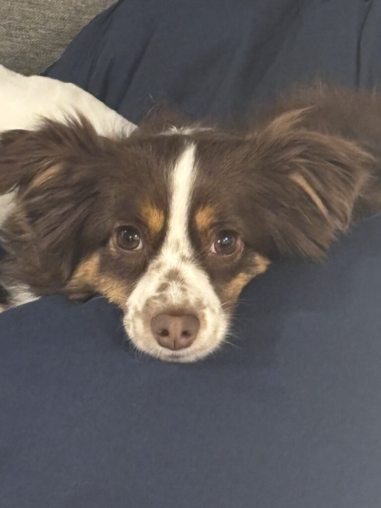 IMG_5459 IMG 5459 768x1024